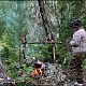 8. Бивак в тайге